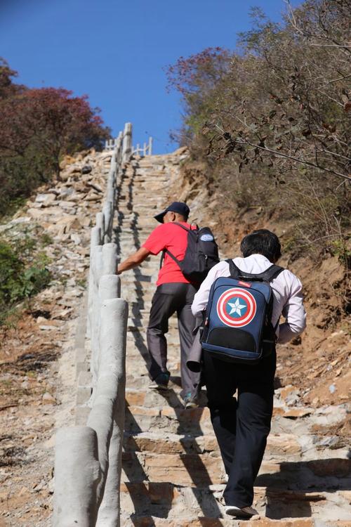 九九重阳日 登山进行时